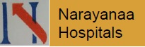 Narayanaa logo